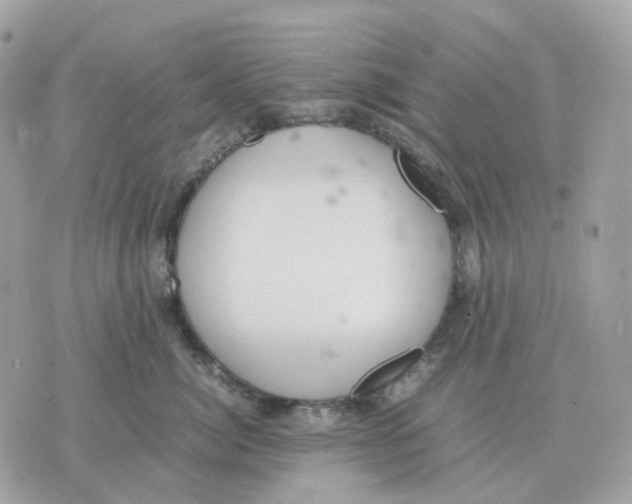 X0000070370764200607072128