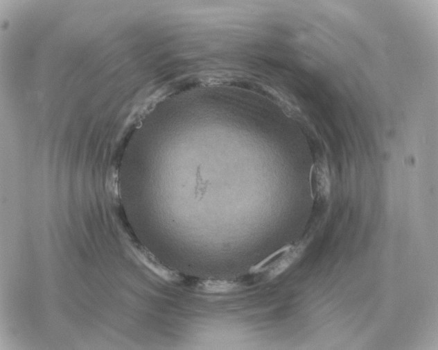 X0000070370766200607072128