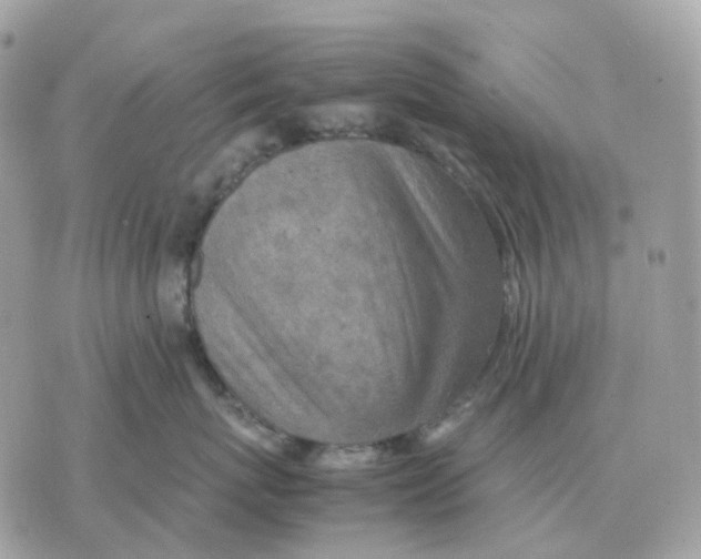 X0000070370767200607072128