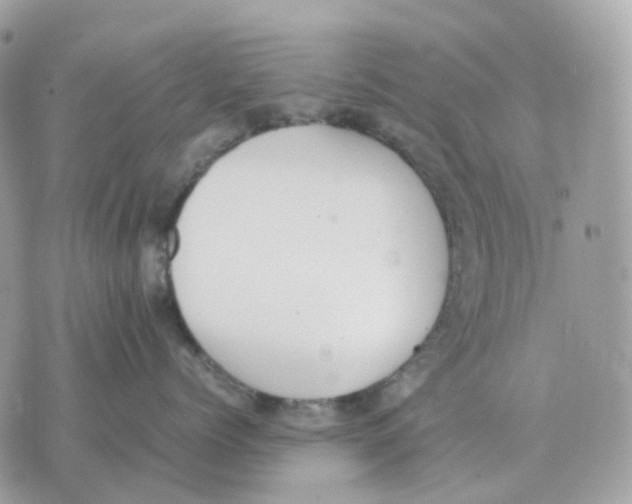 X0000070370768200607072128