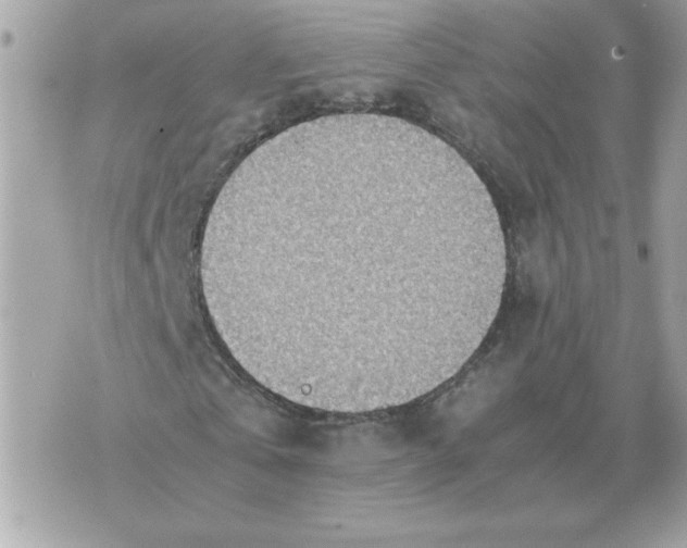 X0000070370769200607072128