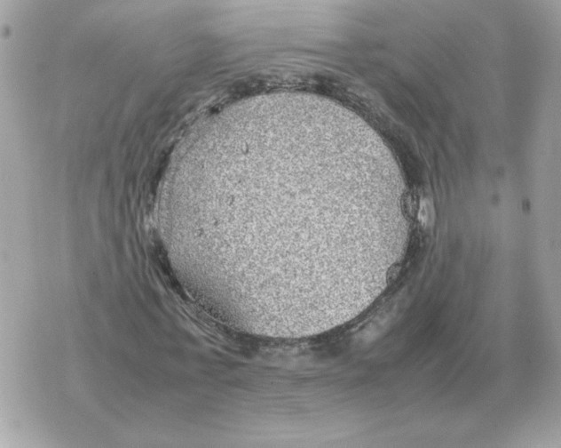 X0000070370771200607072127