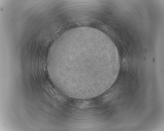 X0000070370772200607072127