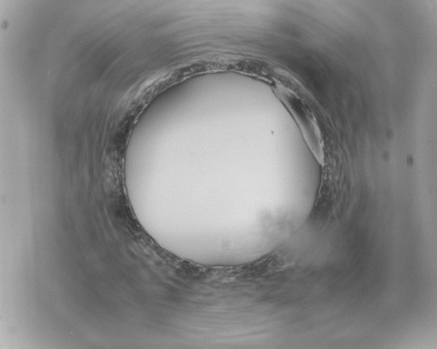 X0000070370773200607072127