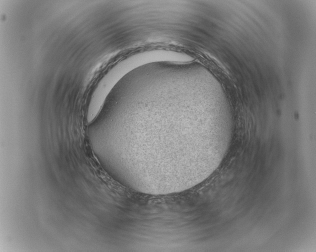 X0000070370776200607072127