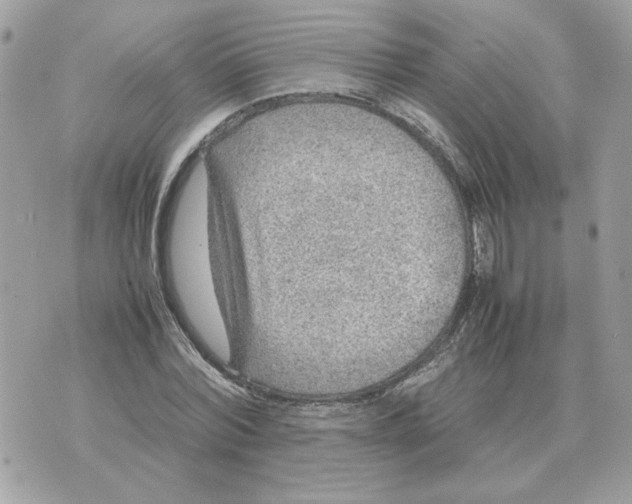 X0000070370780200607072127