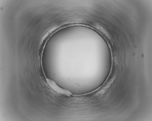 X0000070370781200607072127