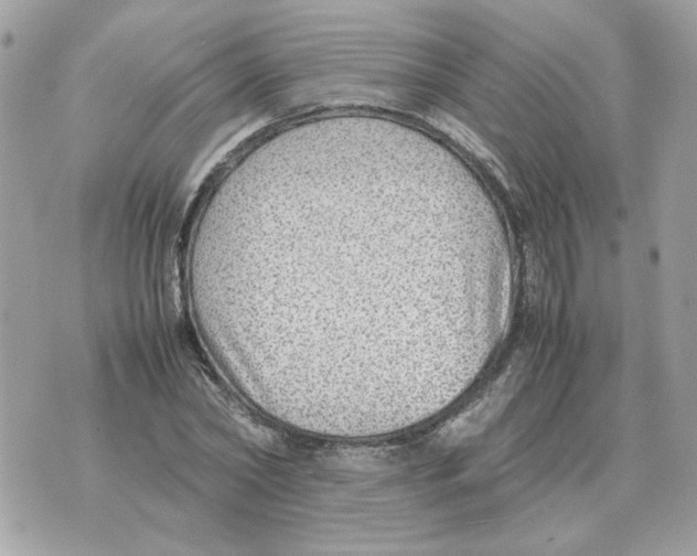 X0000070370782200607072127