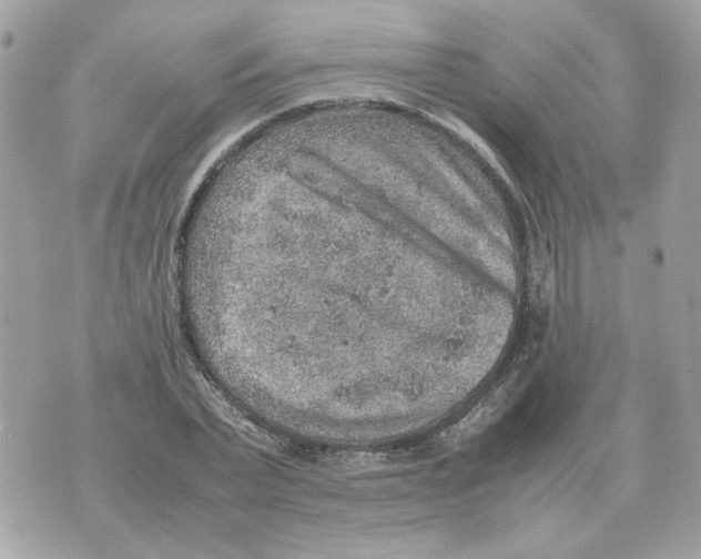 X0000070370783200607072127