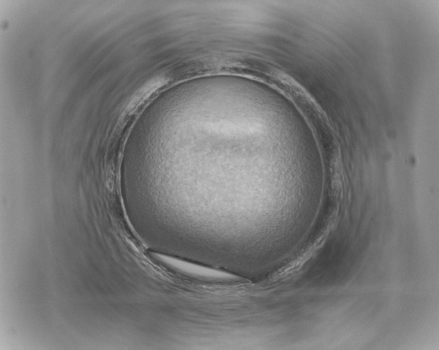 X0000070370785200607072127