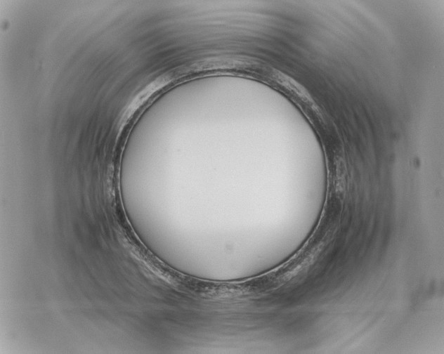 X0000070370786200607072127