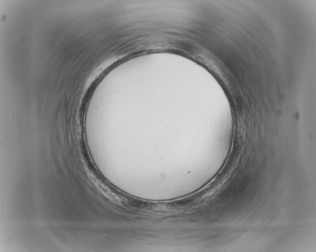 X0000070370787200607072127