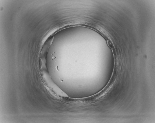 X0000070370789200607072127