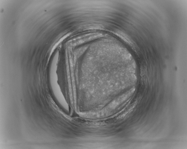 X0000070370790200607072127