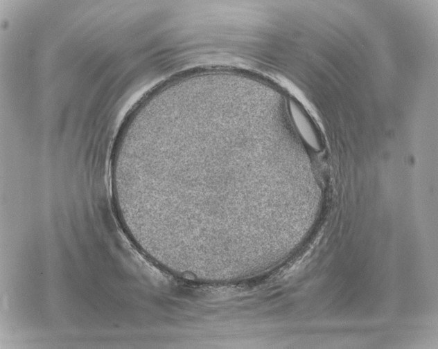 X0000070370791200607072127