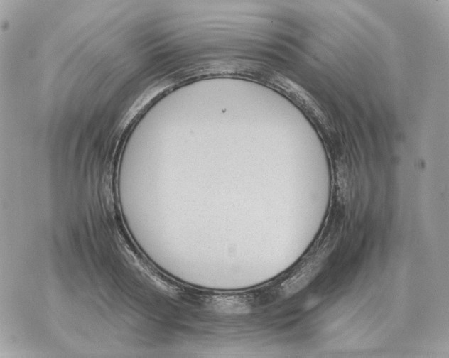 X0000070370794200607072127