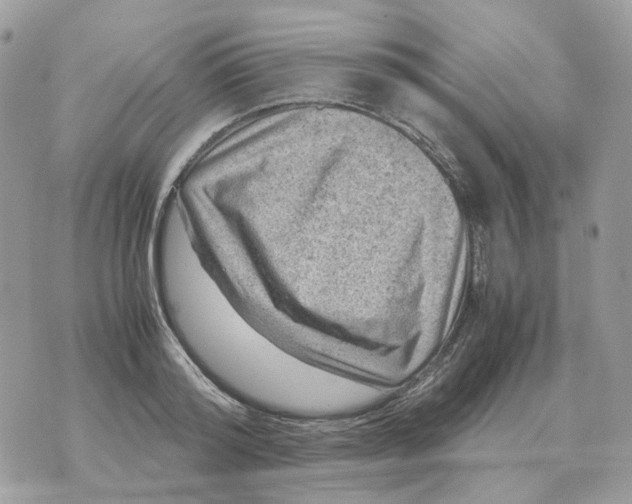 X0000070370796200607072127