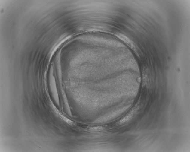 X0000070370798200607072127