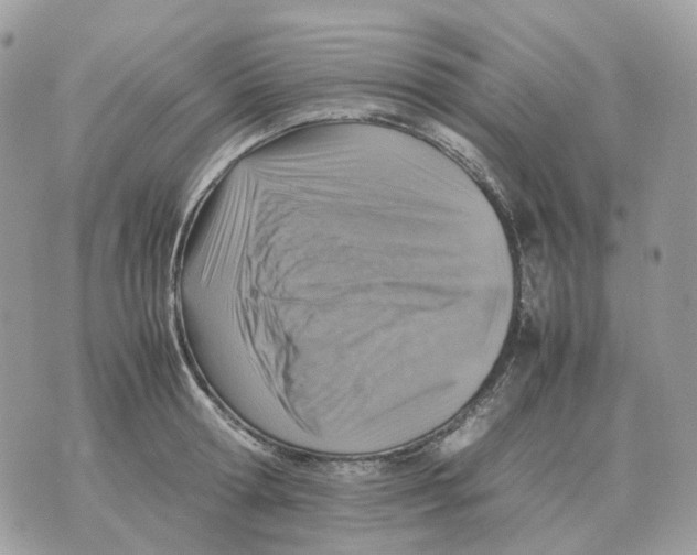 X0000070370802200607072127