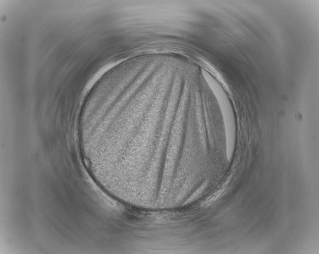 X0000070370803200607072127