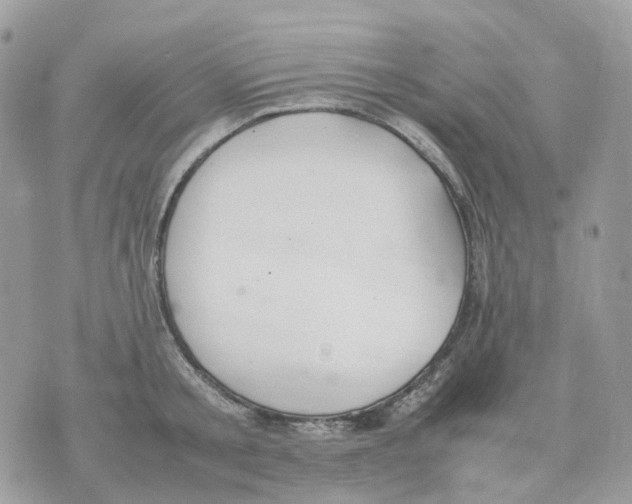 X0000070370805200607072127