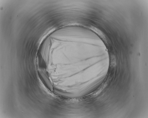 X0000070370806200607072127