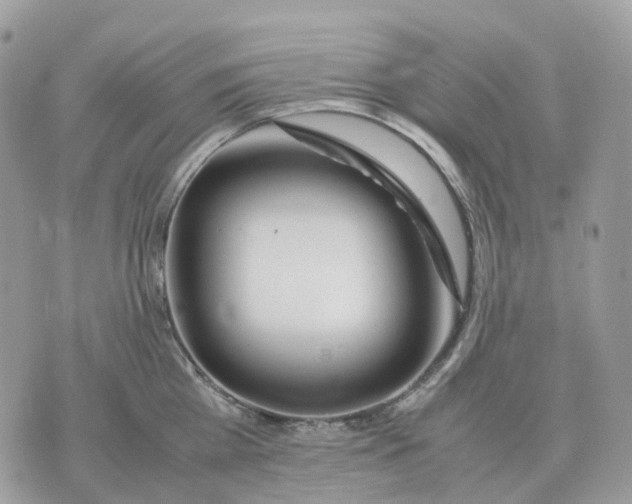 X0000070370809200607072127