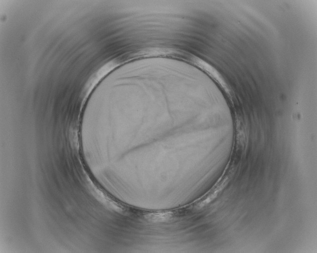 X0000070370810200607072127