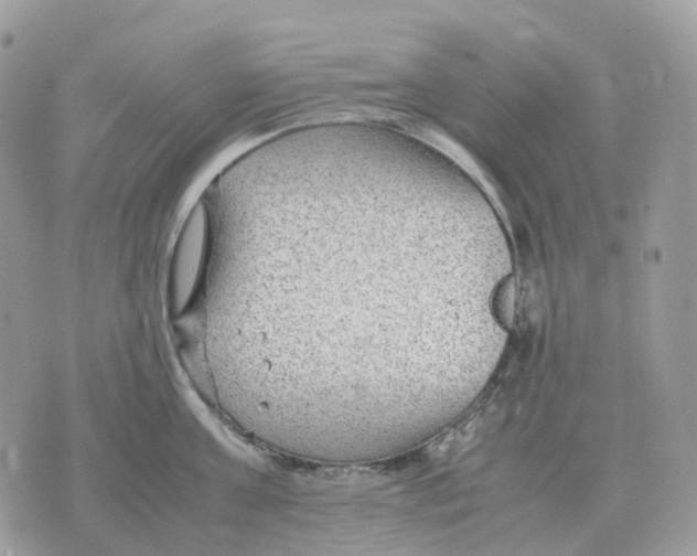 X0000070370811200607072127