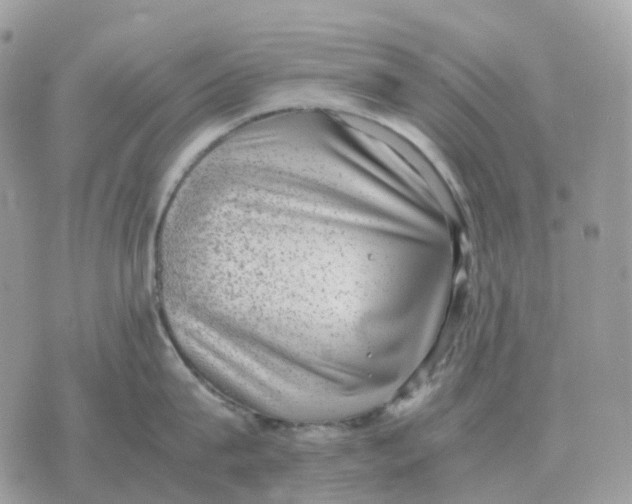 X0000070370815200607072127