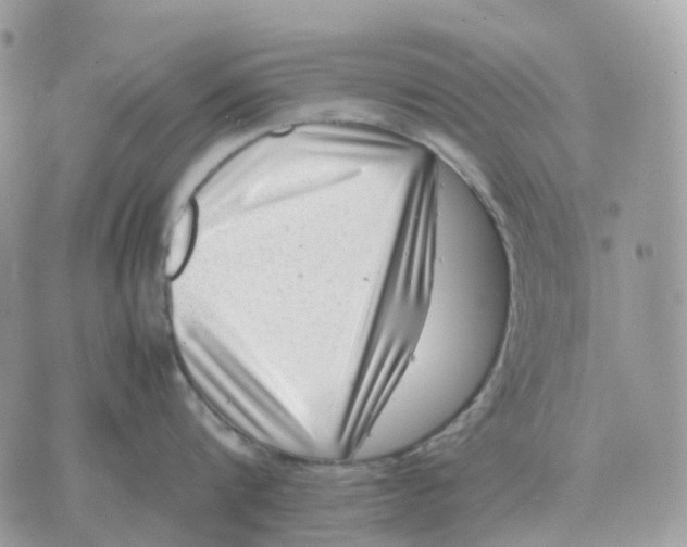 X0000070370816200607072127