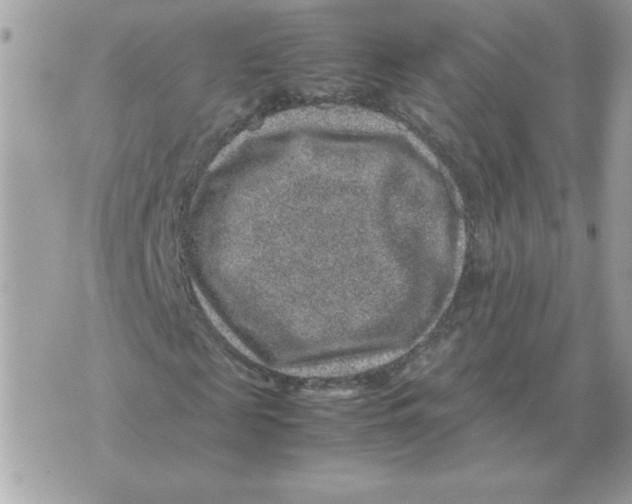 X0000070370817200607072126