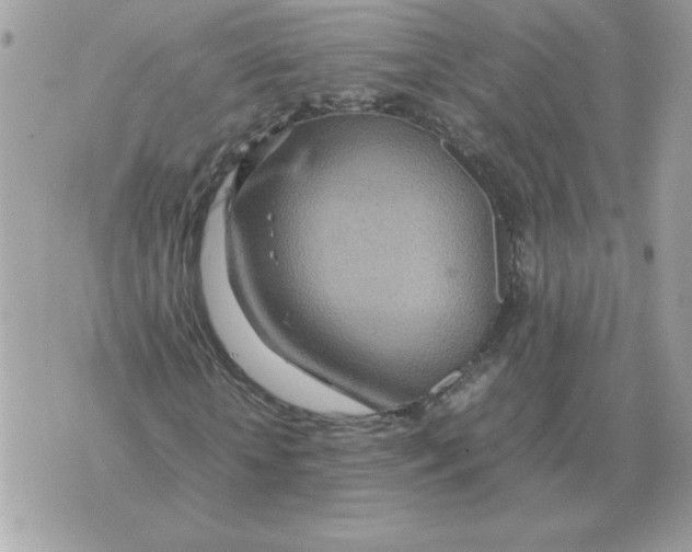 X0000070370818200607072126