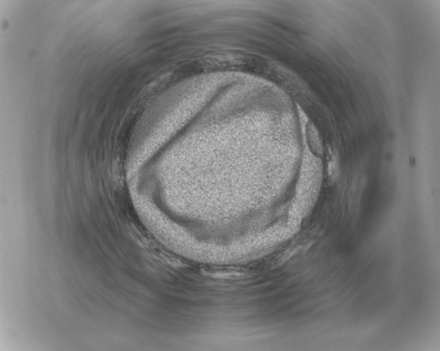 X0000070370819200607072126