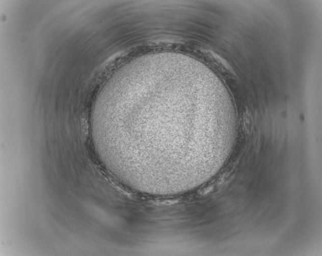 X0000070370821200607072126