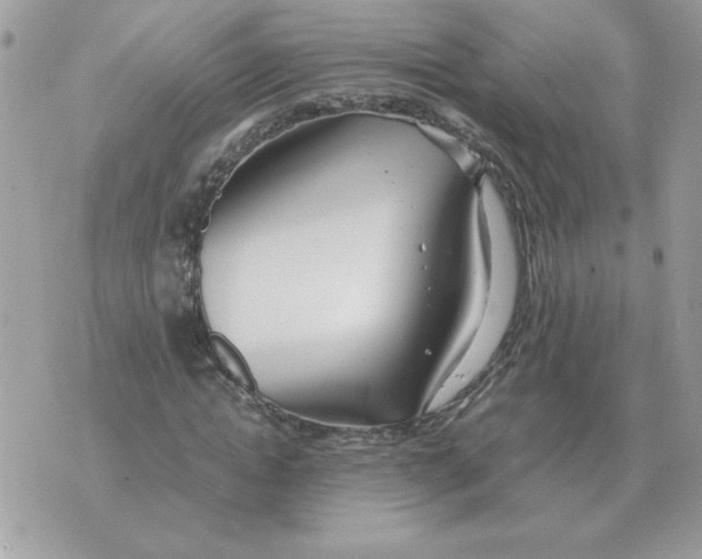 X0000070370822200607072126