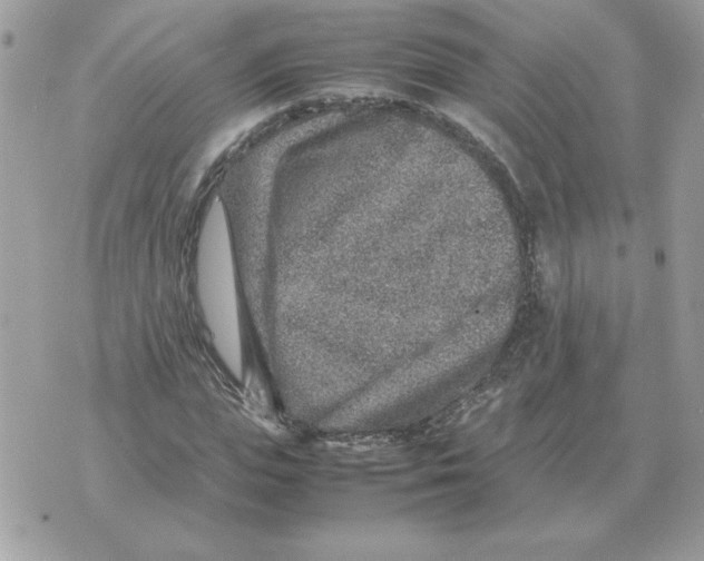 X0000070370823200607072126