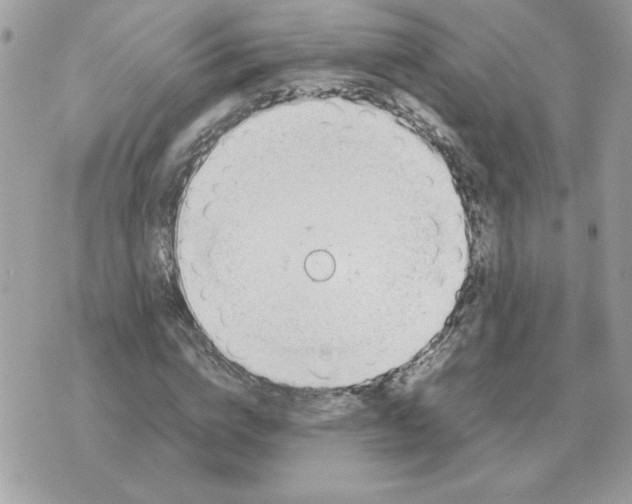 X0000070370824200607072126