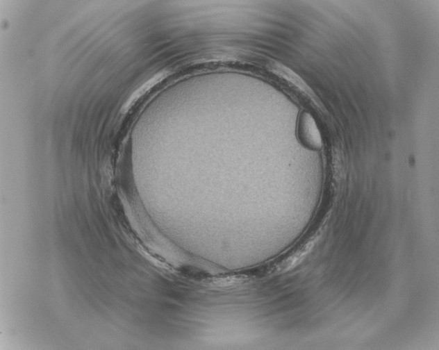 X0000070370826200607072126