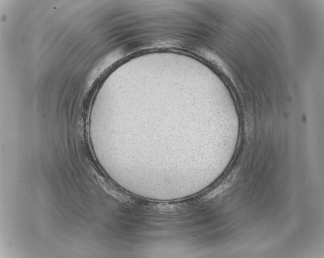 X0000070370827200607072126