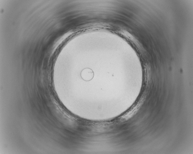 X0000070370828200607072126