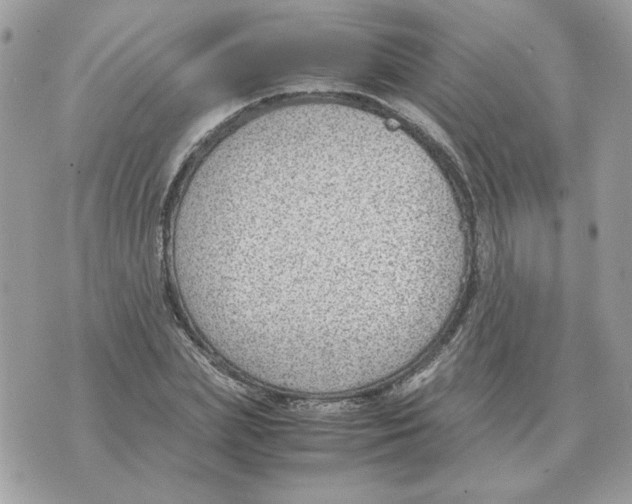 X0000070370831200607072126