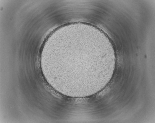 X0000070370832200607072126