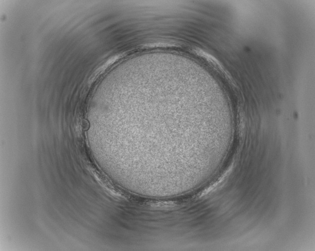 X0000070370833200607072126