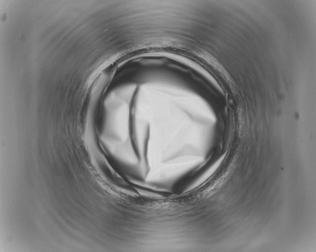 X0000070370834200607072126