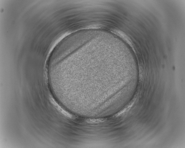 X0000070370835200607072126