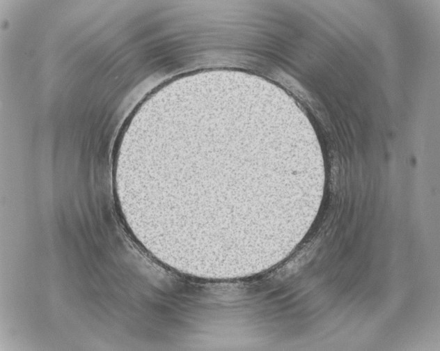 X0000070370836200607072126