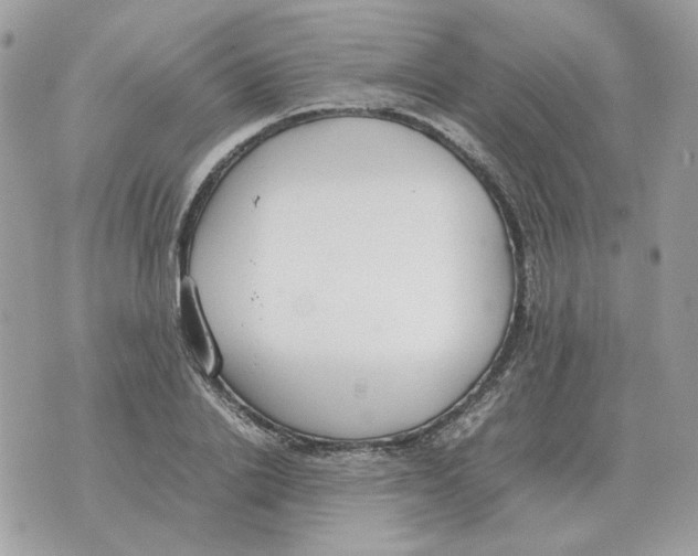 X0000070370838200607072126