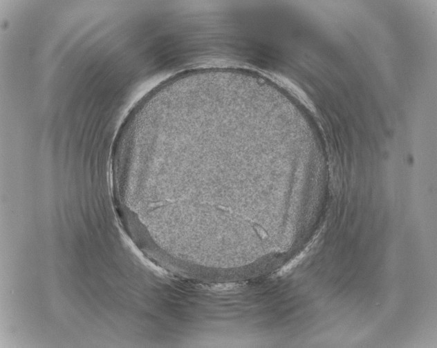 X0000070370839200607072126