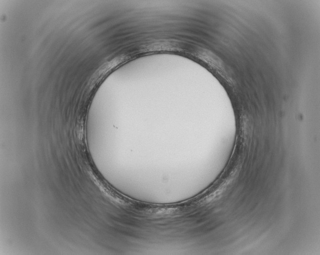 X0000070370841200607072126